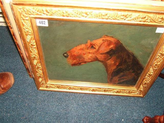 Appraisal: An Airedale oil on board x