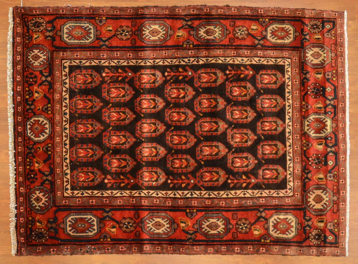 Appraisal: Persian Hamadan rug approx x Iran modern Condition Some moth