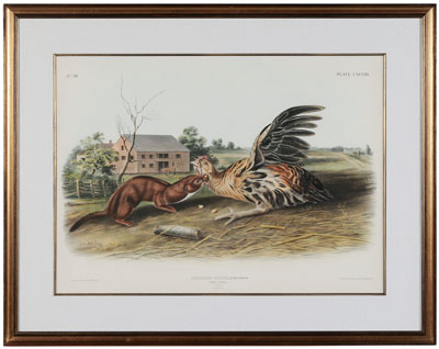 Appraisal: After John James Audubon New York - Tawny Weasel Plate