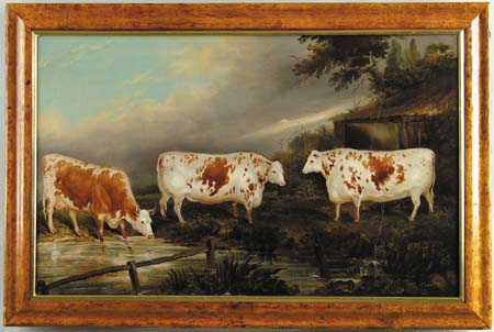 Appraisal: JOHN VINE OF COLCHESTER British - HOLDERNESS CATTLE IN A