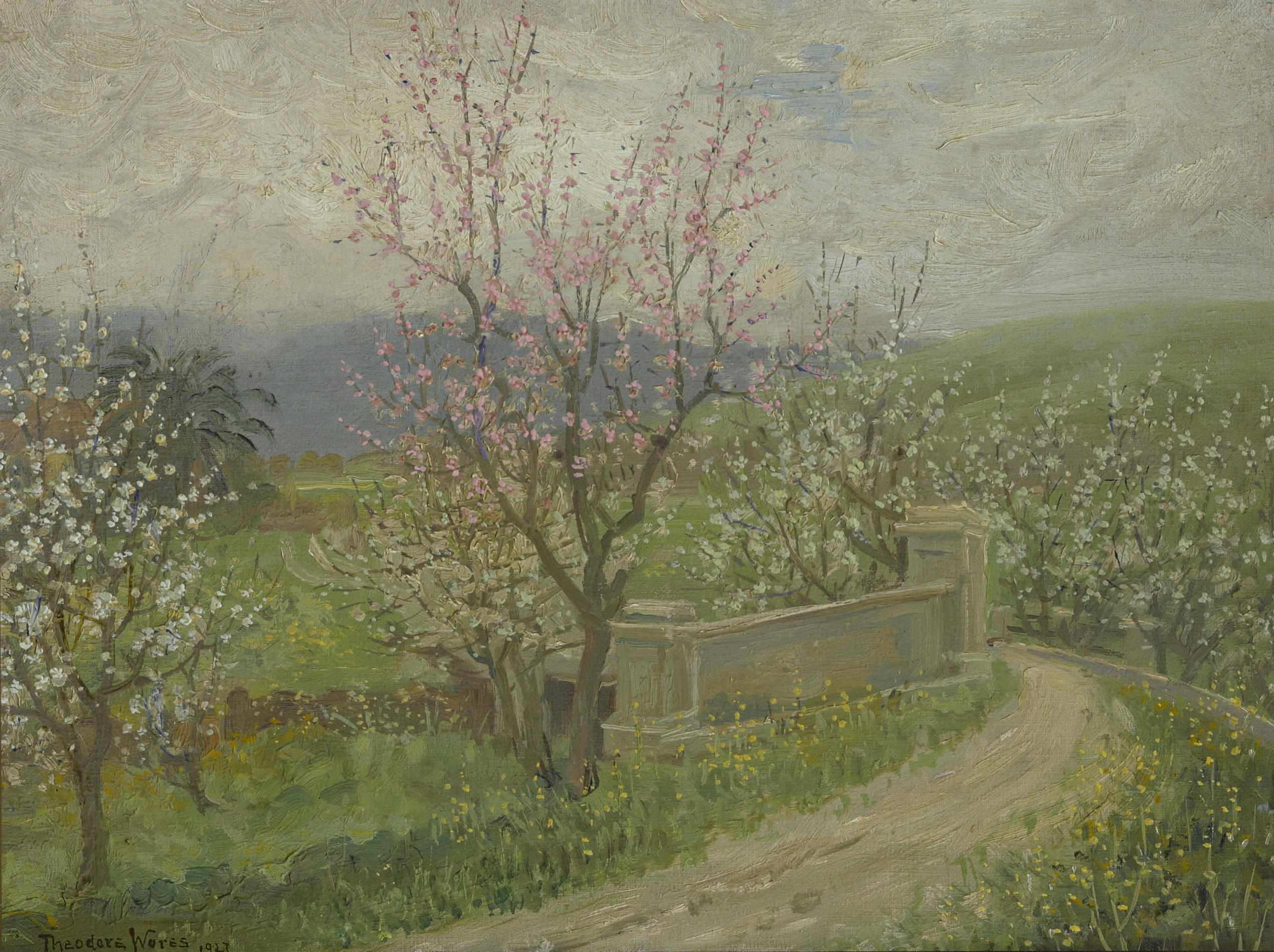 Appraisal: Theodore Wores American - Cherry blossoms signed and dated 'Theodore