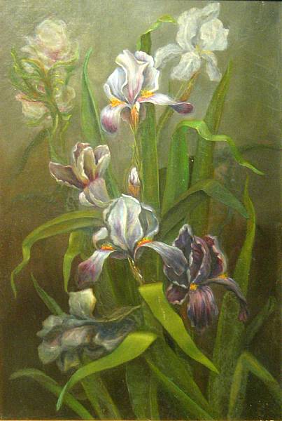 Appraisal: Charlotte A Reed American - Irises signed titled and dated