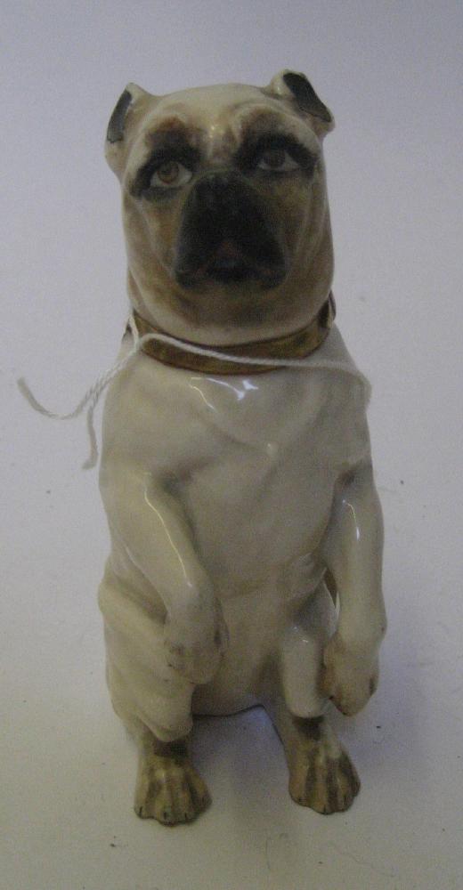 Appraisal: A GERMAN PORCELAIN MODEL of a begging pug dog wearing