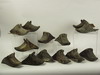 Appraisal: STIRRUPS - Lot of fourteen th C brass Spanish foot