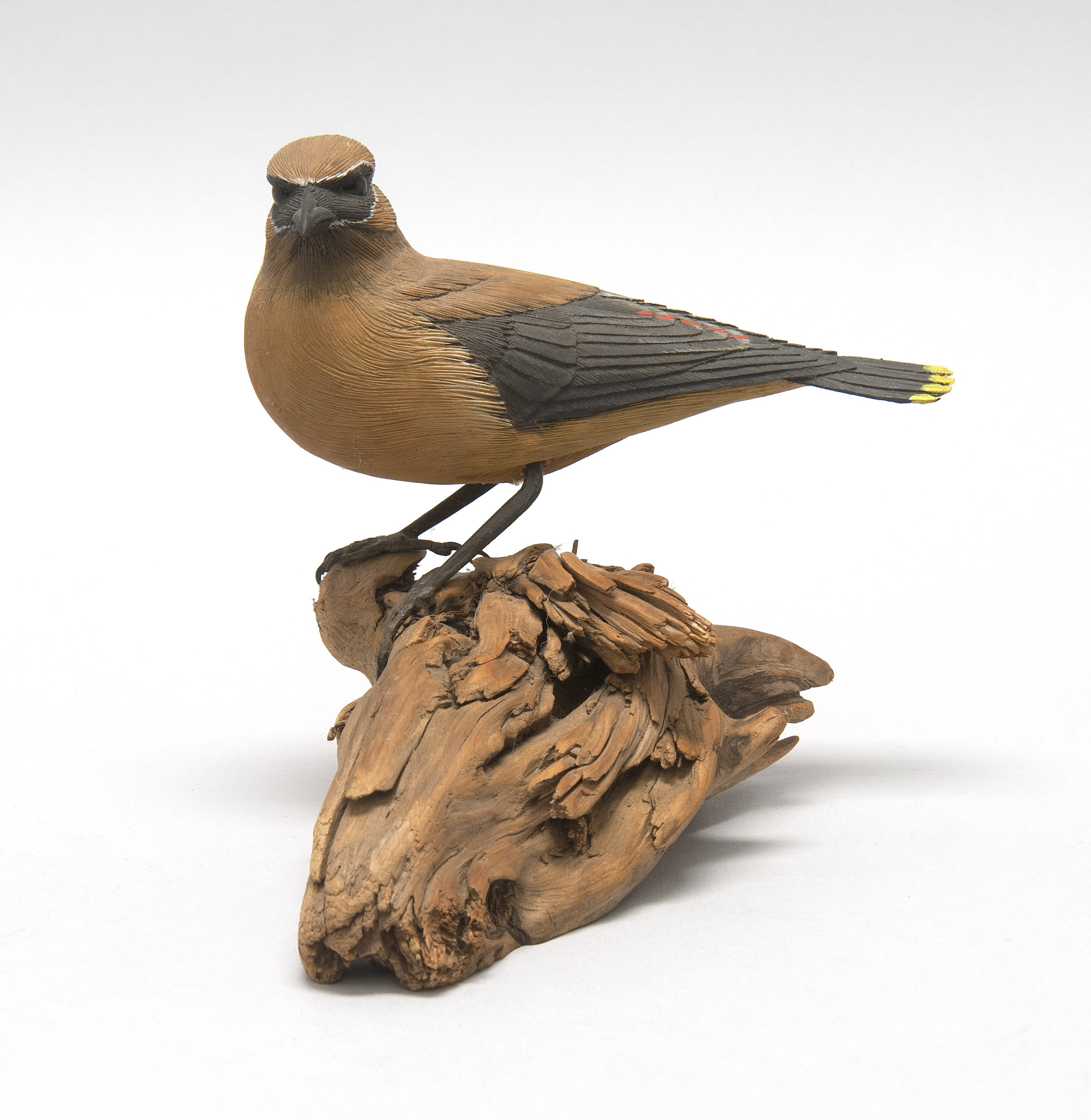 Appraisal: DECORATIVE CARVED CEDAR WAXWING mounted on a driftwood base Signed