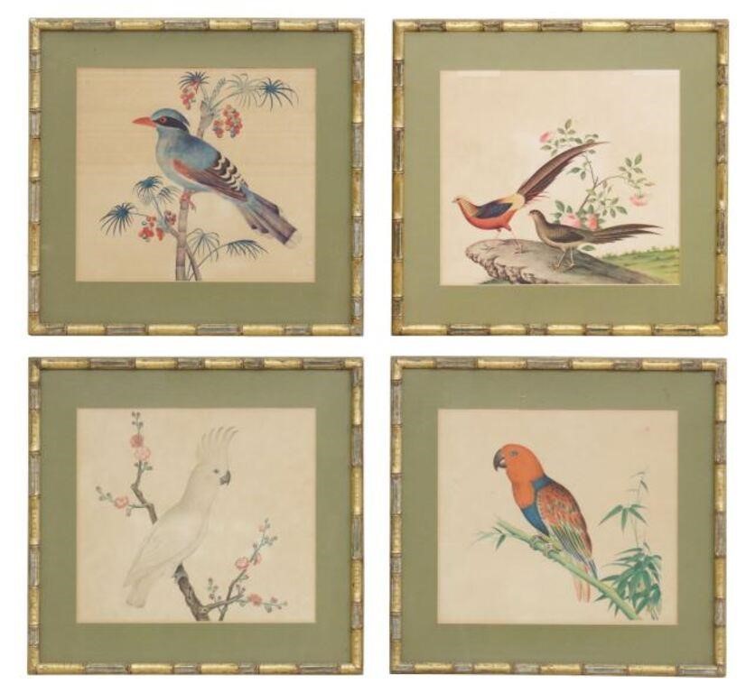 Appraisal: lot of Continental framed bird prints th c in giltwood