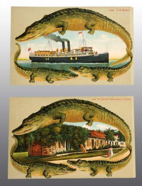 Appraisal: Lot of Florida Alligator Postcards Description Includes S S S