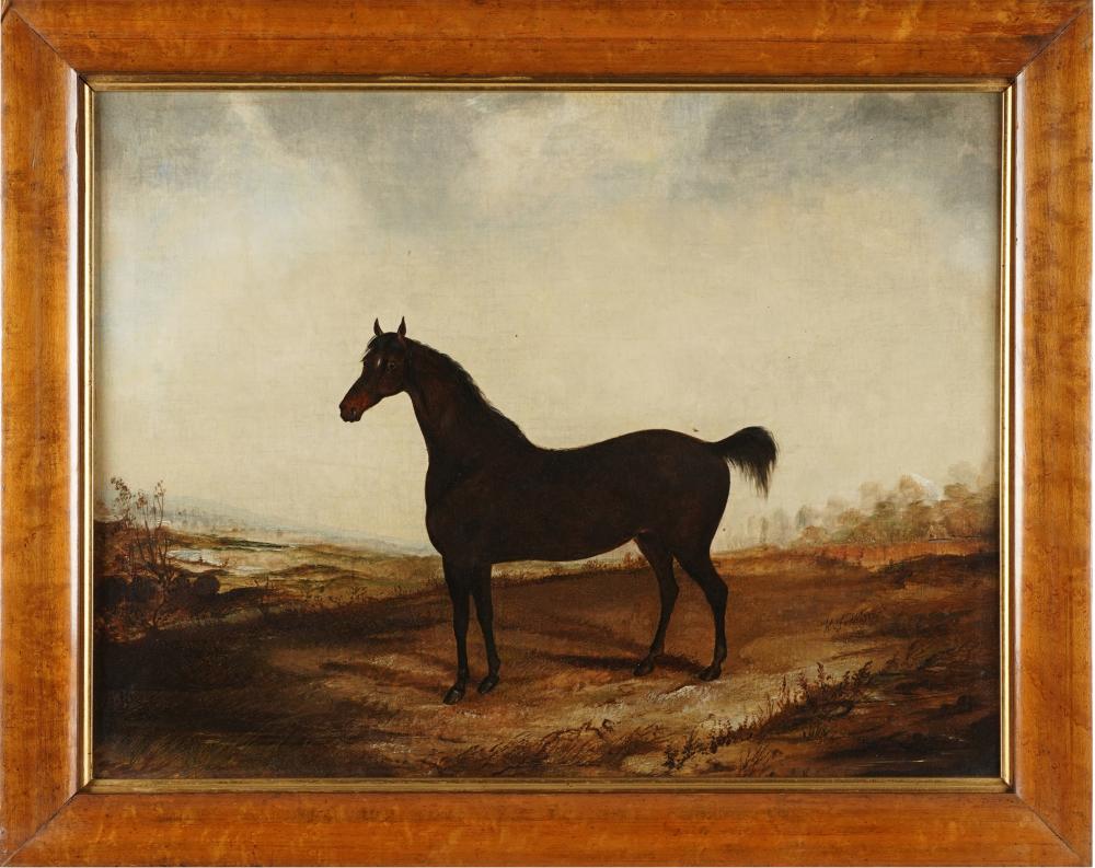 Appraisal: ENGLISH SCHOOL TH CENTURY HORSEoil on canvas relined unsigned Provenance