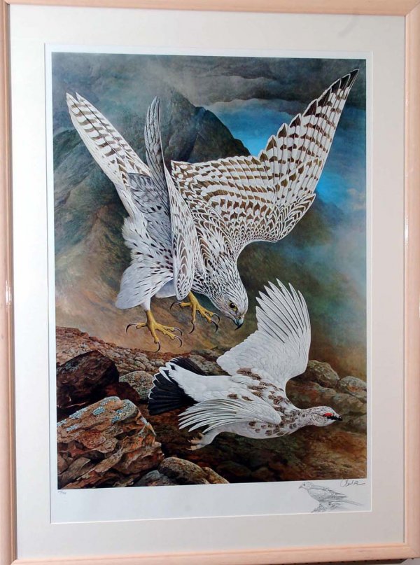 Appraisal: Basil Ede British - Limited Edition print In print Gyrfalcon