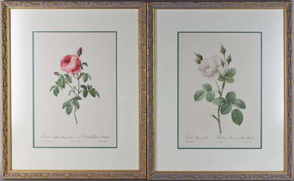 Appraisal: TEN FRAMED FLORAL PRINTS chromolithographs