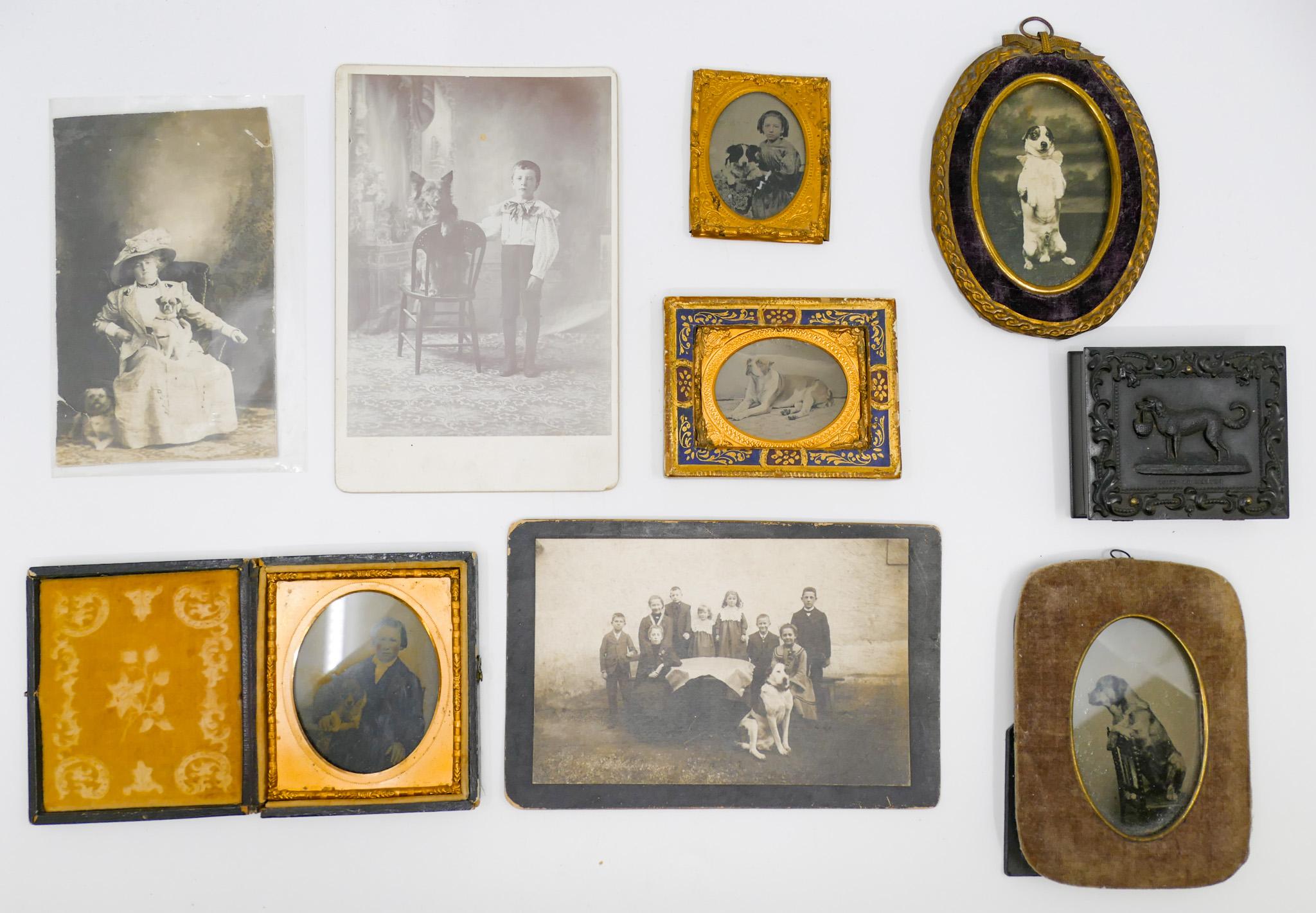 Appraisal: Box Antique Dog Tintypes and Photos pc