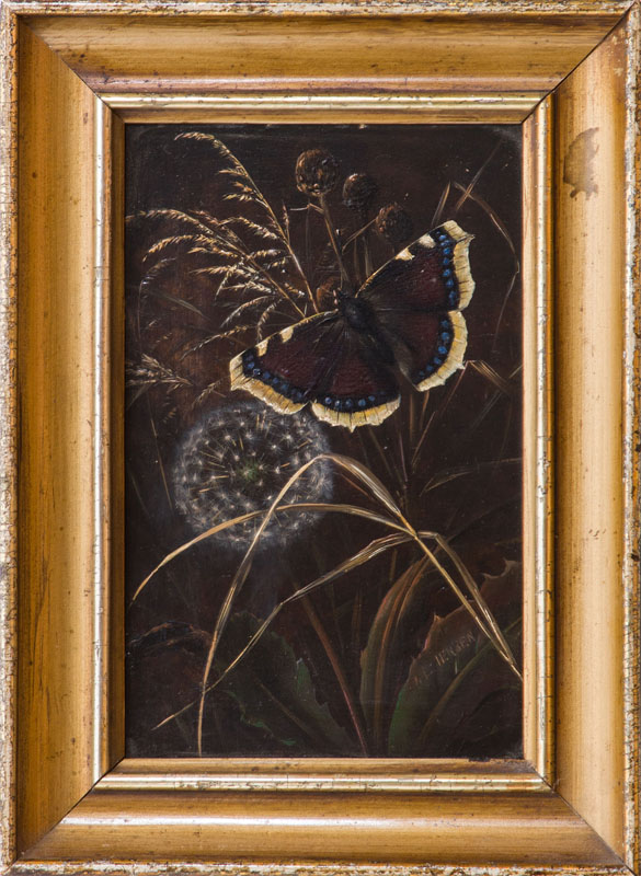 Appraisal: EUROPEAN SCHOOL DANDELION AND BUTTERFLY Oil on panel signed '