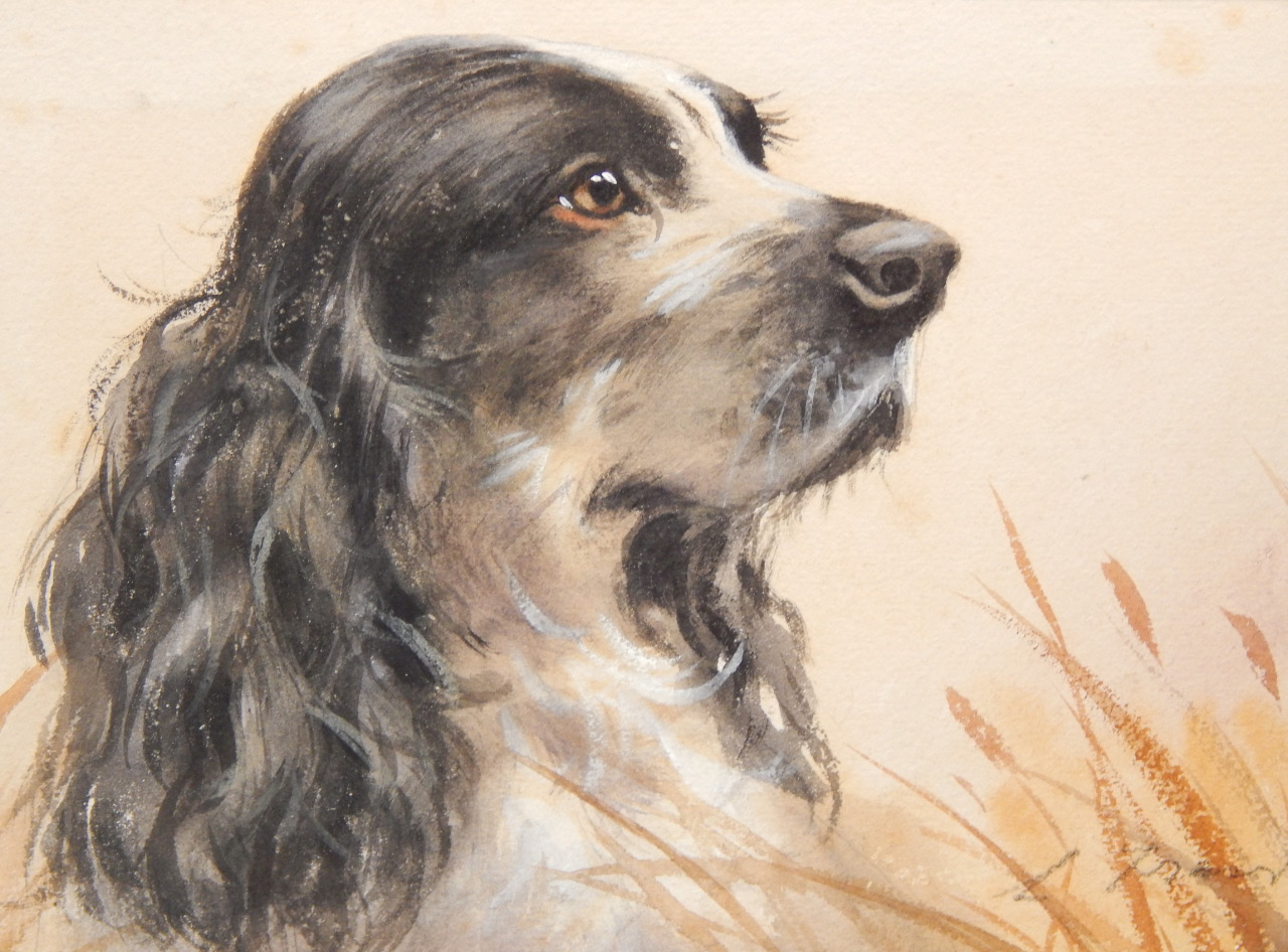 Appraisal: L Frost Head study of a spaniel watercolour signed cm