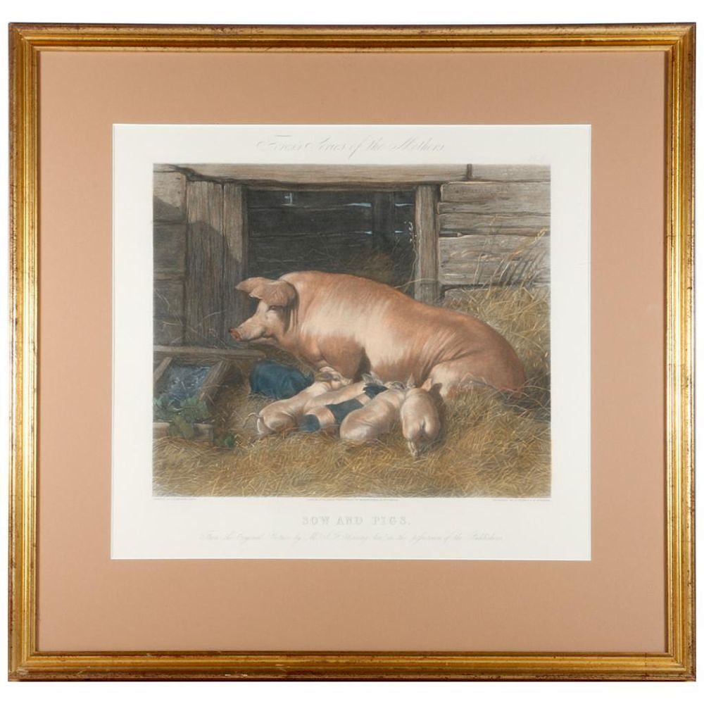 Appraisal: A th century English print of a sow and piglets