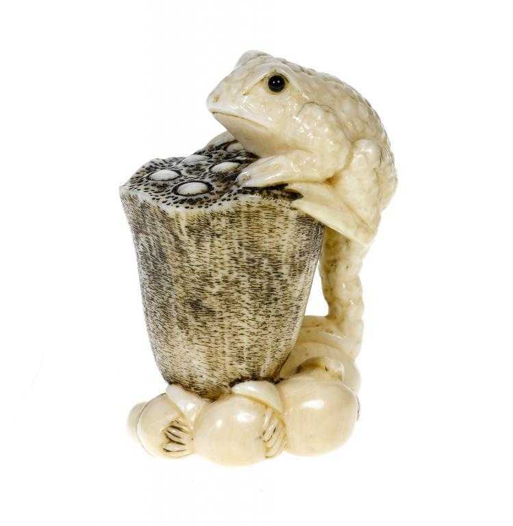 Appraisal: A JAPANESE IVORY NETSUKE OF A TOAD CLIMBING ONTO A