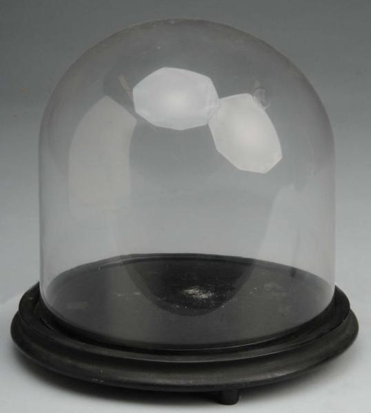 Appraisal: Glass Dome Description Sitting on a black wood base Some