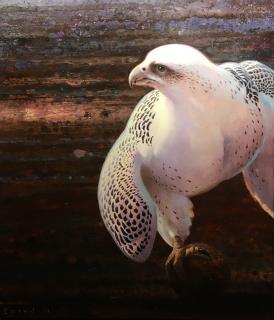 Appraisal: Gyrfalcon by Ewoud de Groot Ewoud de Groot - oil