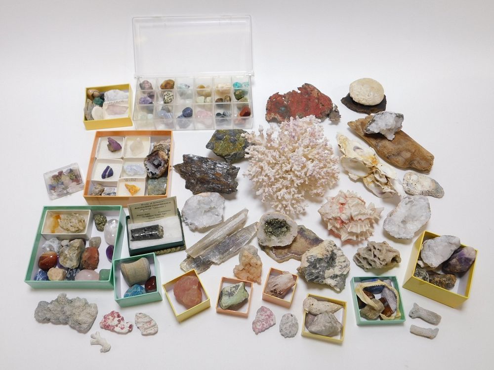 Appraisal: LG Collection of Mineral Oceanic Specimens Continental th Century Over