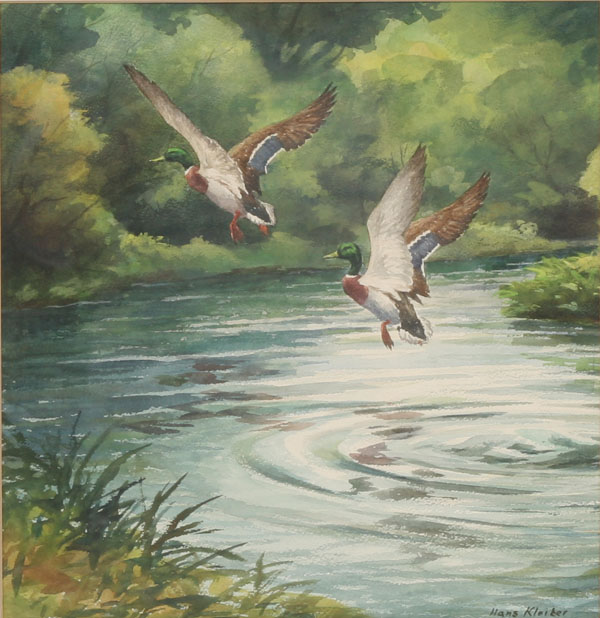 Appraisal: Hans Kleiber German American - Mallard Drake in Summer Green