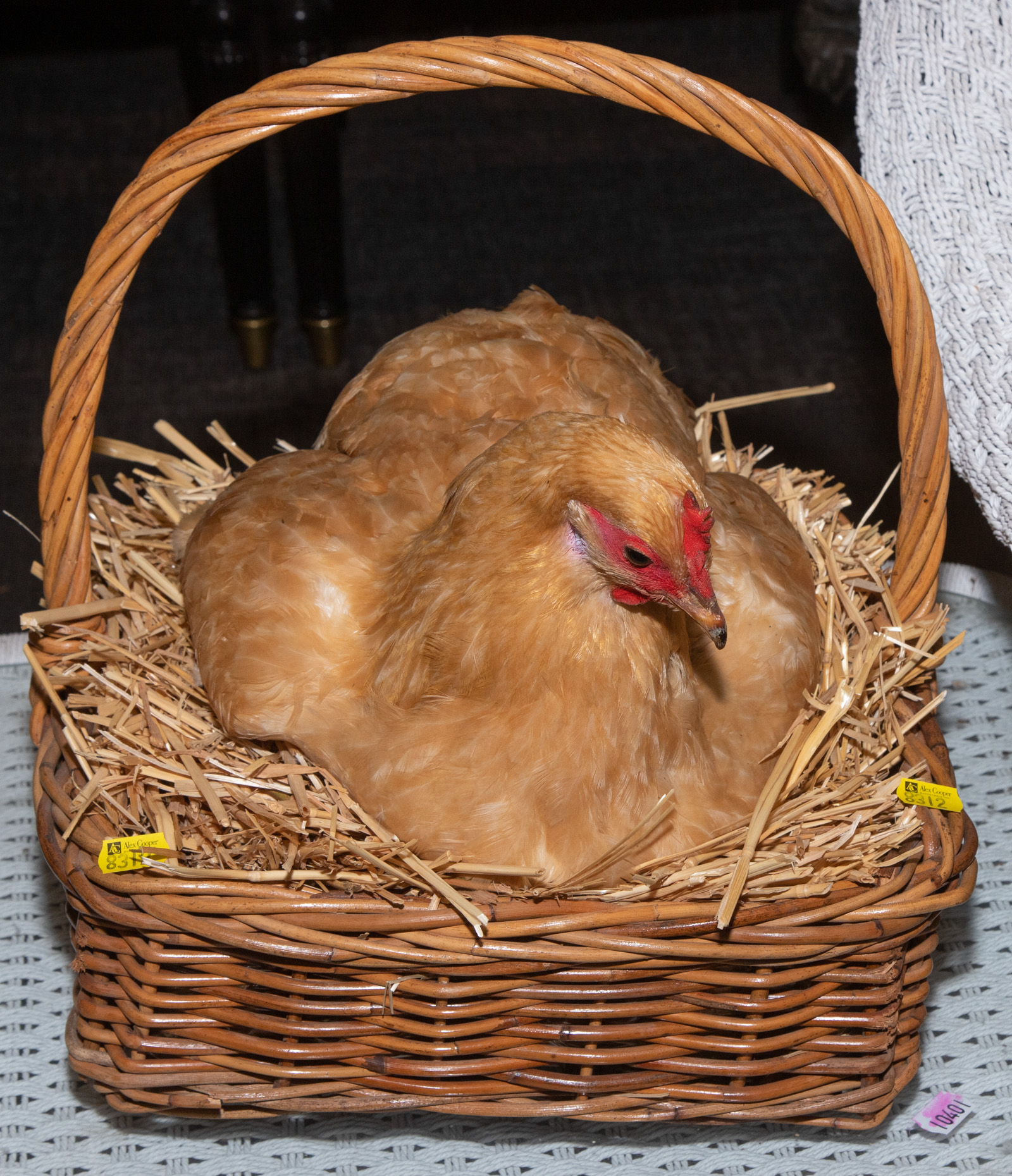 Appraisal: CHICKEN IN A BASKET