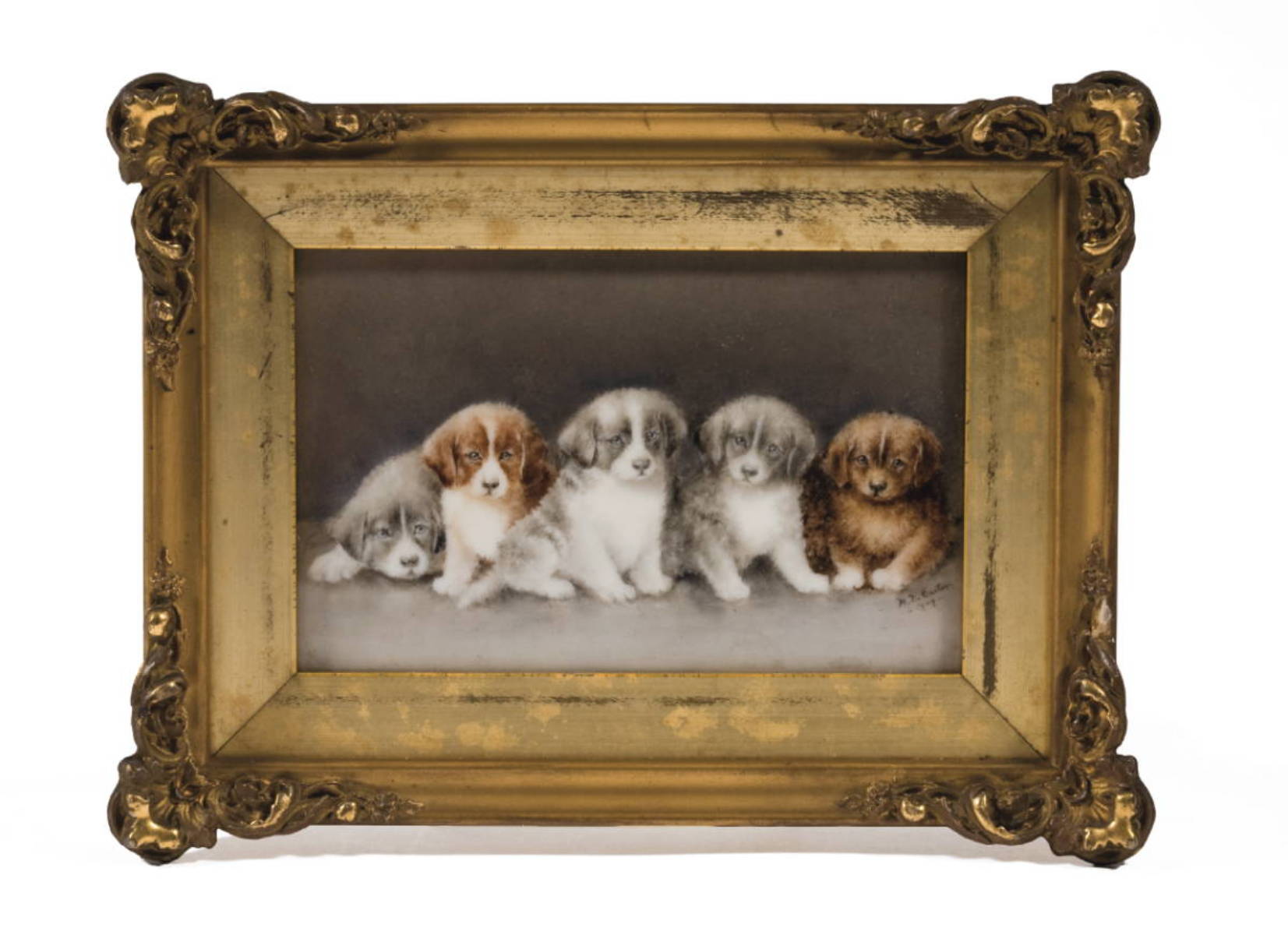 Appraisal: FRAMED HANDPAINTED PORCELAIN PLAQUE DEPICTING FIVE PUPPIES DATED Signed M