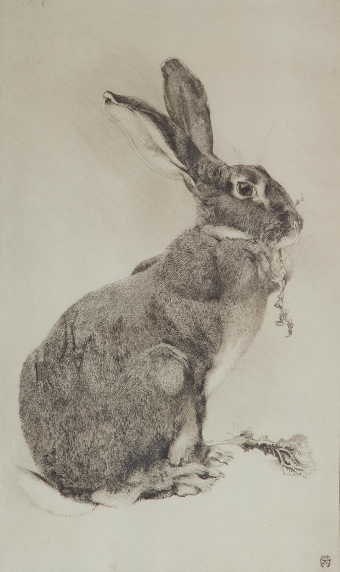 Appraisal: a Winifred Austen Rabbit with Lettuce etching Winifred Marie L