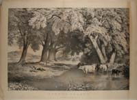 Appraisal: CURRIER IVES Publisher th Century SUMMER SHADES Conningham Large folio