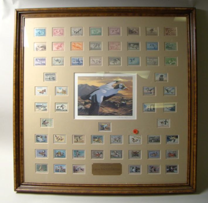 Appraisal: FRAMED COLLECTION OF FEDERAL DUCK STAMPS From to Matted with