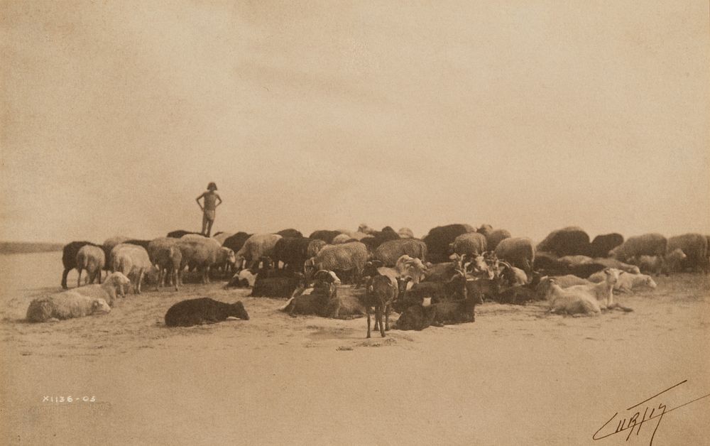 Appraisal: Edward Curtis A Hopi Flock Edward S Curtis - A