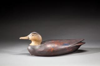 Appraisal: Black Duck by Ian McNair b Black DuckIan McNair b