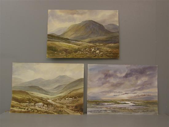 Appraisal: Keith Burtonshaw three watercolours of Scotland Scottish Highlands Quinag Mountain