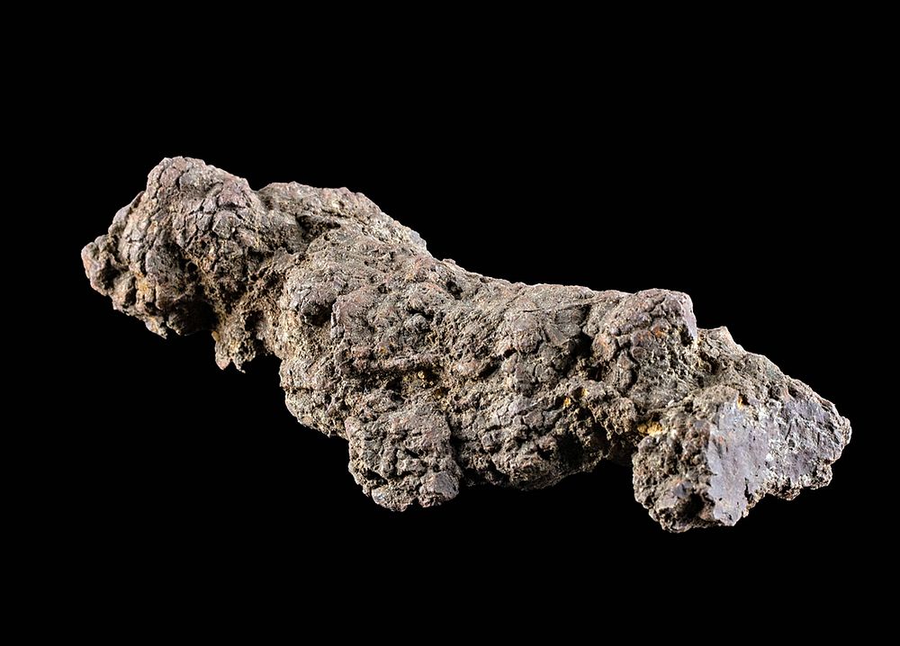 Appraisal: Prehistoric Fossilized Coprolite from Turtle First Time At Auction Africa