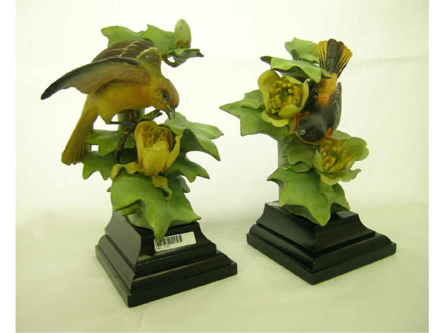 Appraisal: Pair of Royal Worcester Baltimore Oriole bird figurines with stands