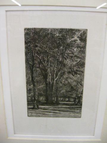 Appraisal: Francis Seymour Haden etching landscape with trees image area x