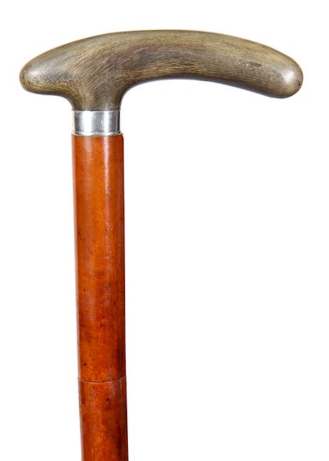 Appraisal: Horn Sword Cane- Ca - An American buffalo horn handle