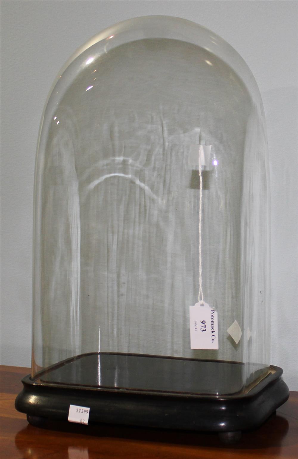 Appraisal: EARLY GLASS DISPLAY DOME ON CARVED WOODEN BASE flea bites