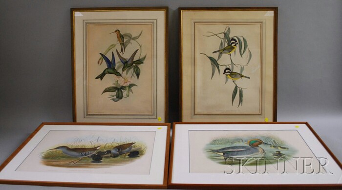 Appraisal: Two Pairs of Gould Richter Lithograph Bird and Fowl Prints