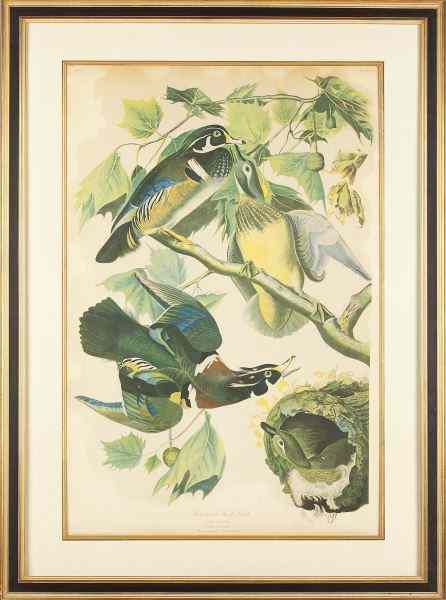 Appraisal: Bien Edition of Audubon's ''Summer or Wood Duck'' New York