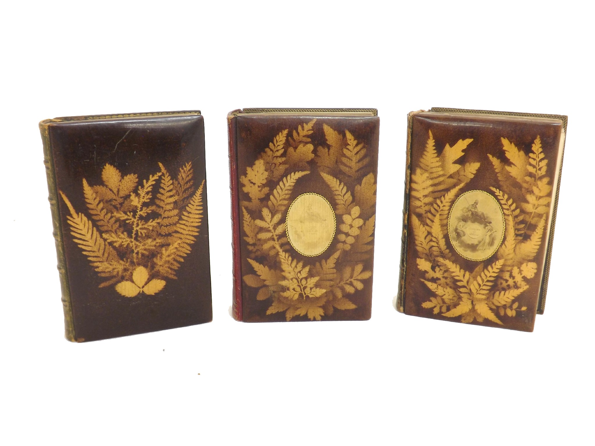 Appraisal: Fern ware books - The Poetical Works of Campbell Goldsmith