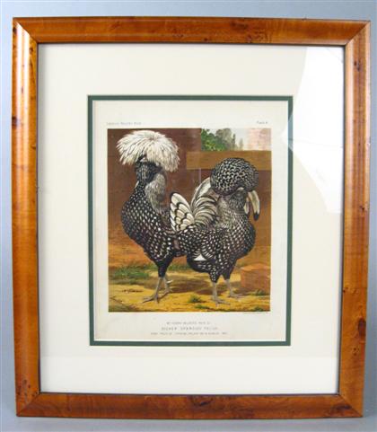 Appraisal: Four stone lithographs of chickens cassell london circa Framed H