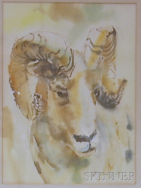 Appraisal: Framed Watercolor on Paper Portrait of a Ram inscribed E