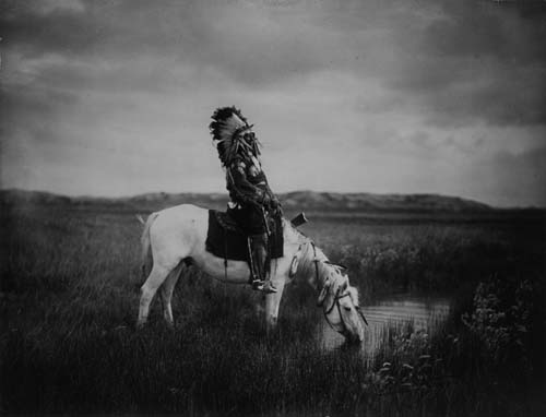 Appraisal: CURTIS EDWARD S - Oasis in the Badlands Platinum print