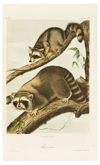 Appraisal: AUDUBON John James - and John BACHMAN - The Quadrupeds