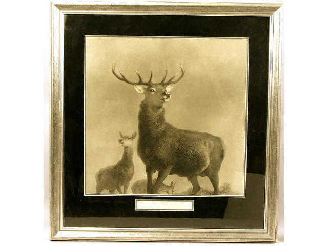 Appraisal: Superbly framed an matted etching titled King of the Forest