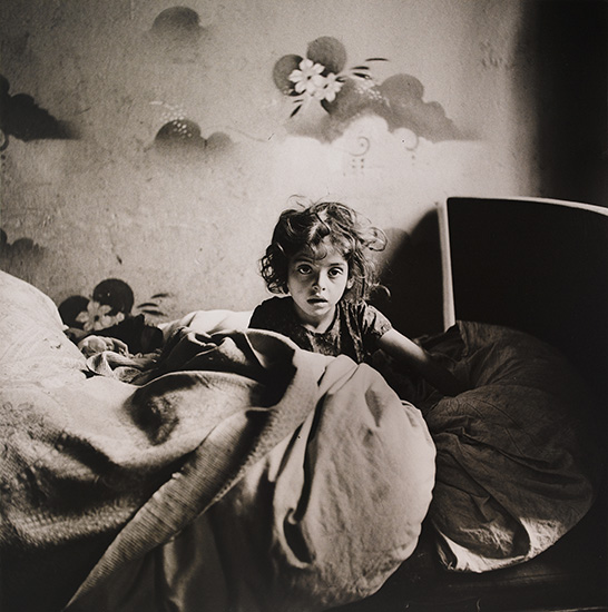 Appraisal: VISHNIAC ROMAN - Portfolio entitled The Vanished World With photographs