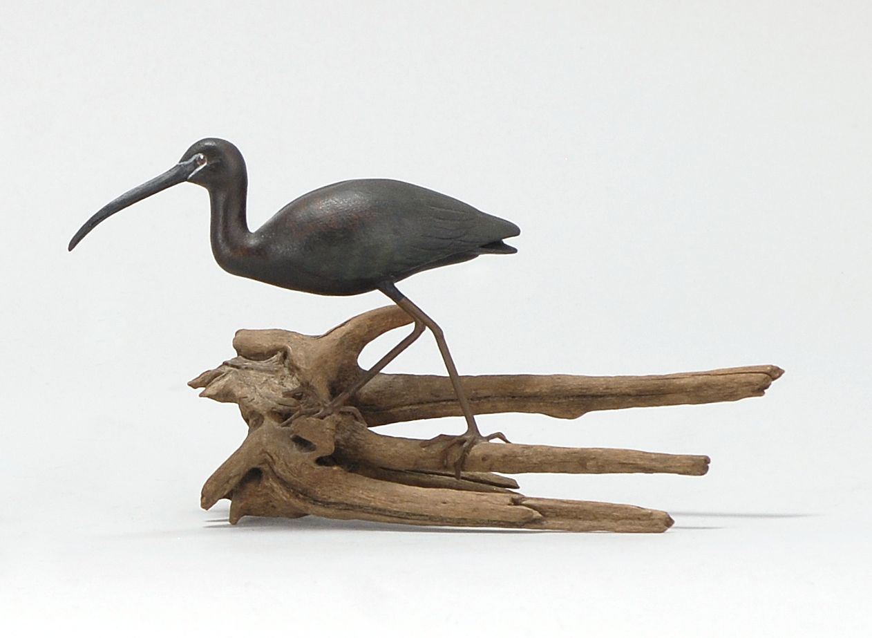 Appraisal: MINIATURE GLOSSY IBIS By Joan Seibert of Massachusetts Mounted on