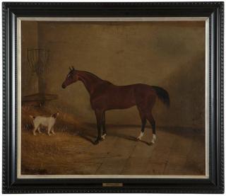 Appraisal: Charles Tanner th century Portrait of an Arabian horse with