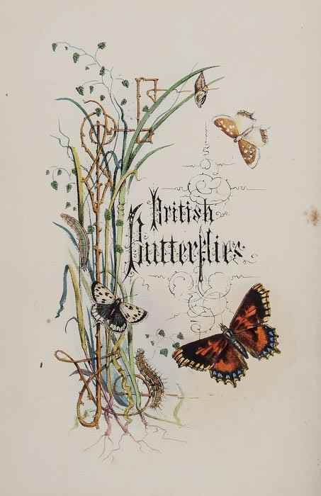 Appraisal: Humphreys H Noel The Genera and Species of British Butterflies