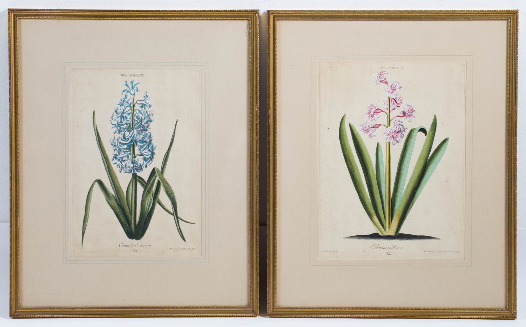 Appraisal: Ludwig Wirsing Pair of botanical engravings German - Comte de