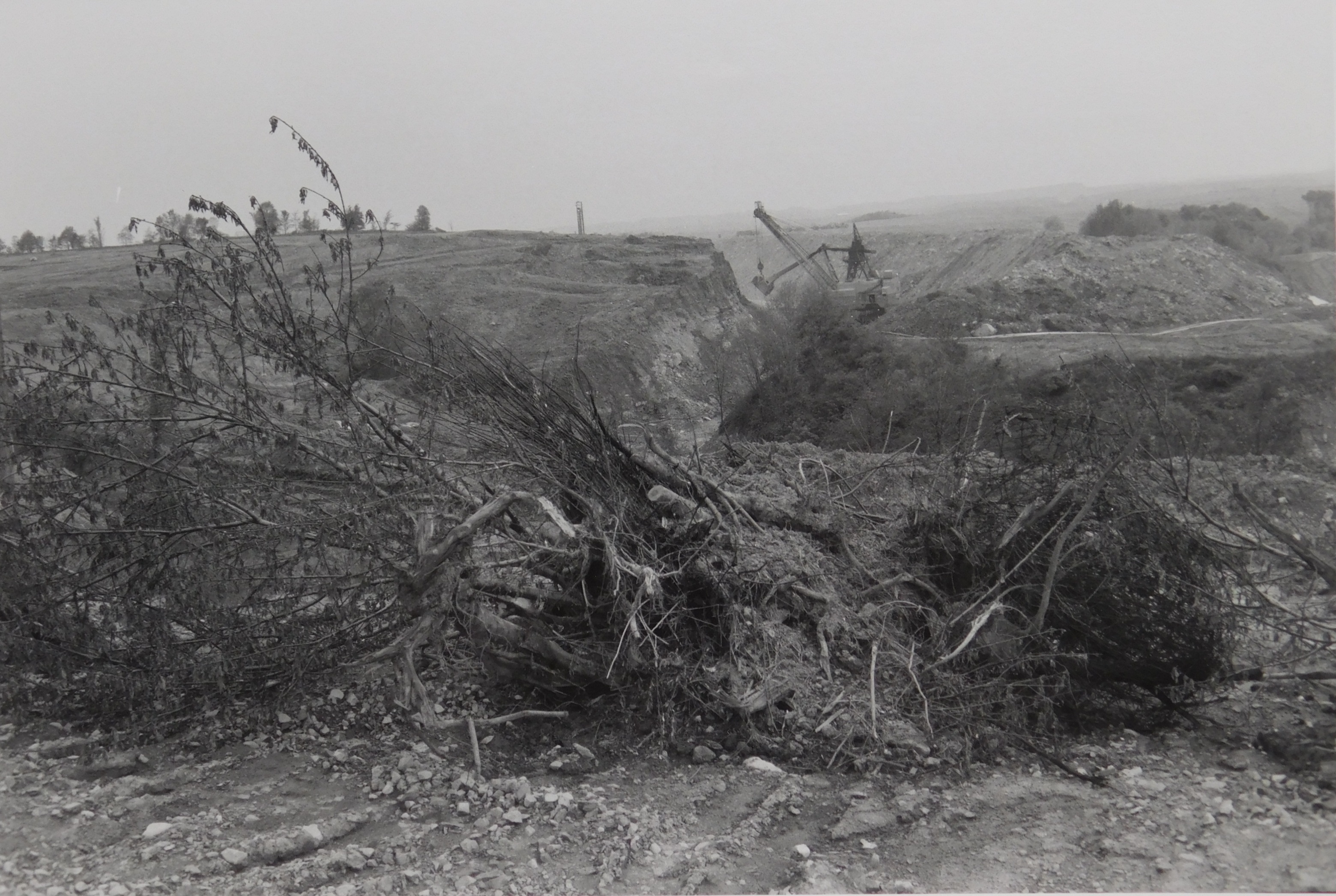 Appraisal: Lee Friedlander American - ''Cadiz OH''-gelatin silver print - signed